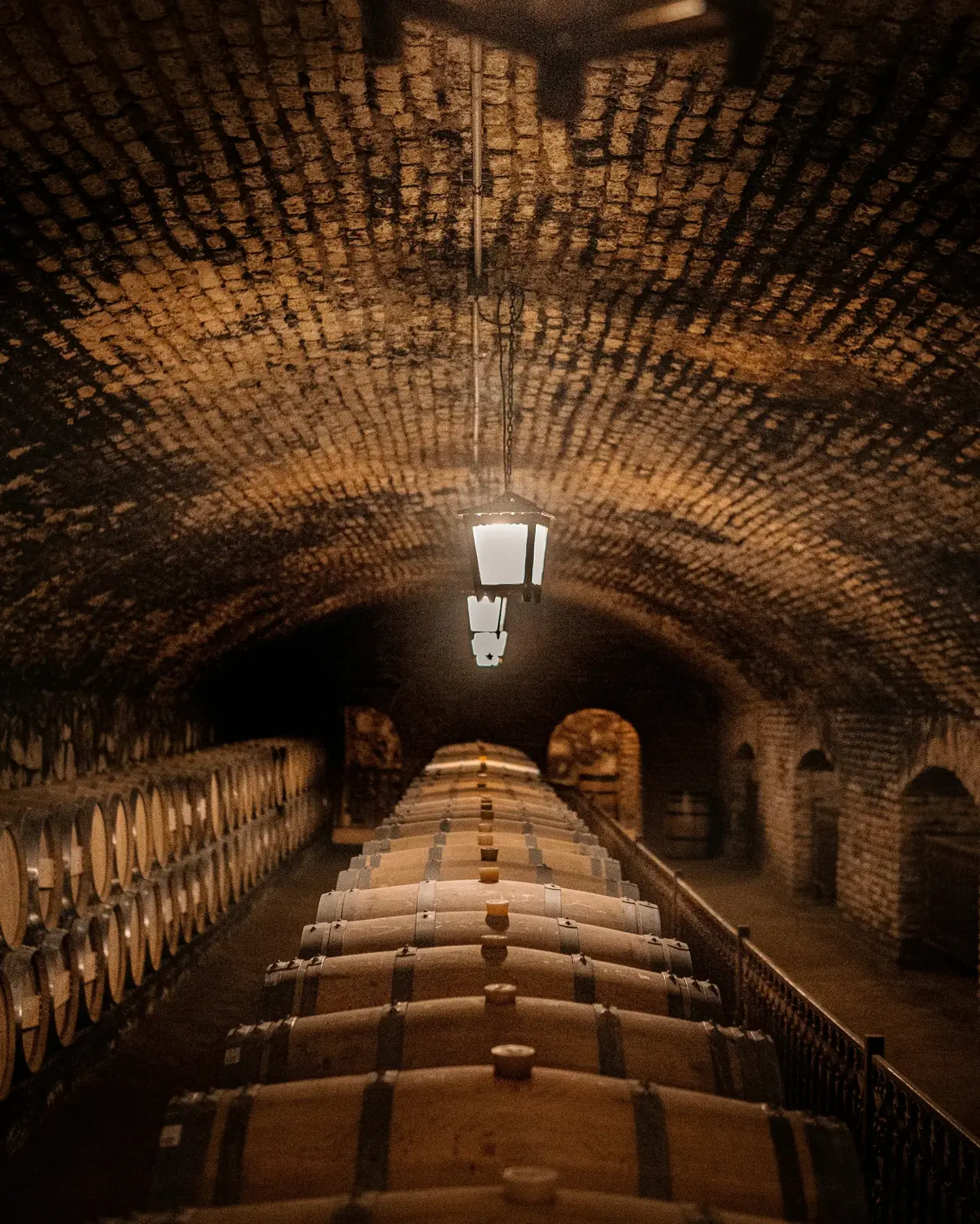 Bodegas y vino